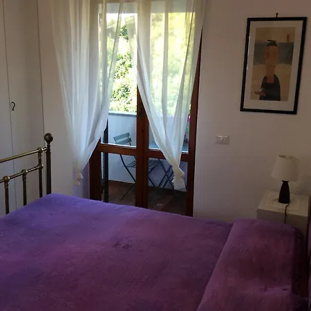 Roots Bamboo House Sambuco (Rome)