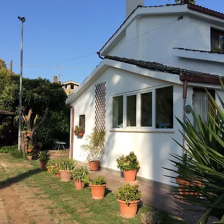Πανσιόν Roots Bamboo House Sambuco (Rome)