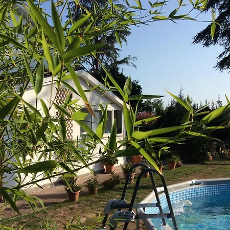 Πανσιόν Roots Bamboo House 3*