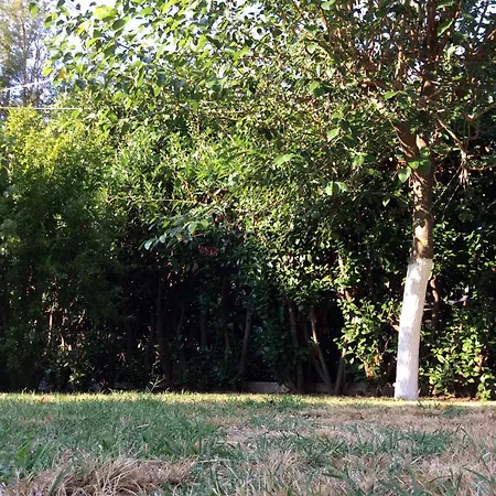 Πανσιόν Roots Bamboo House